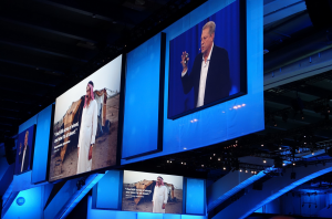 DF14 Al Gore